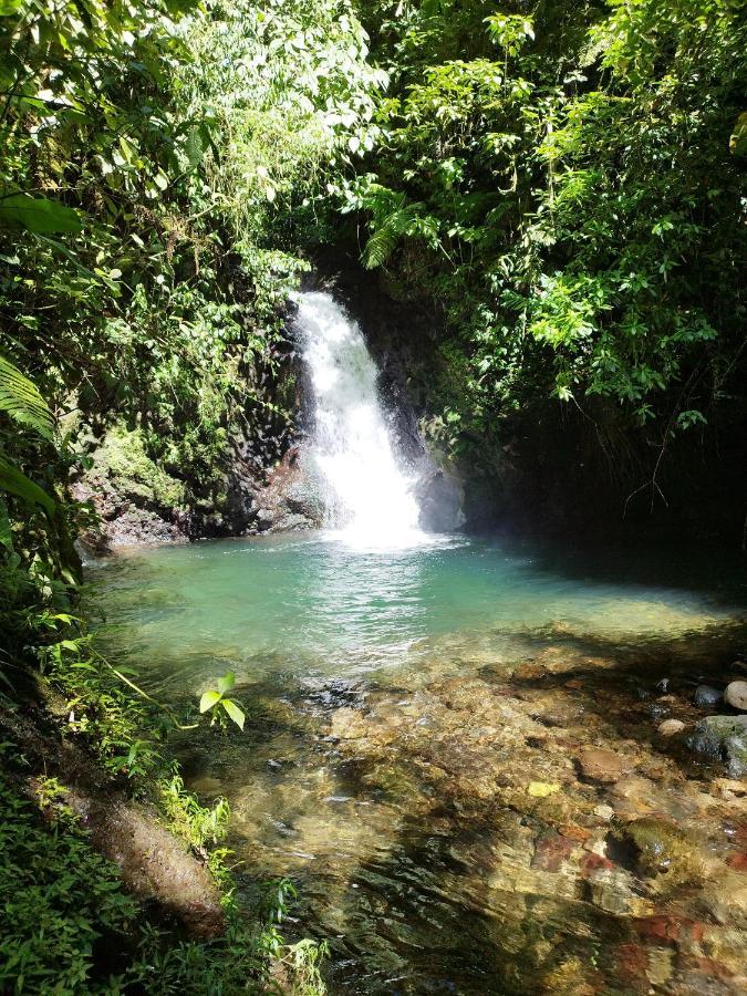 Pozas Y Cascadas La Presa Rio Cuarto Экстерьер фото